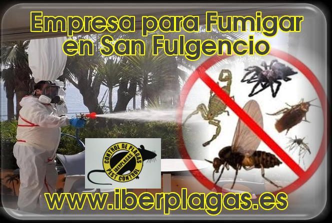 Empresa para fumigar en San Fulgencio
