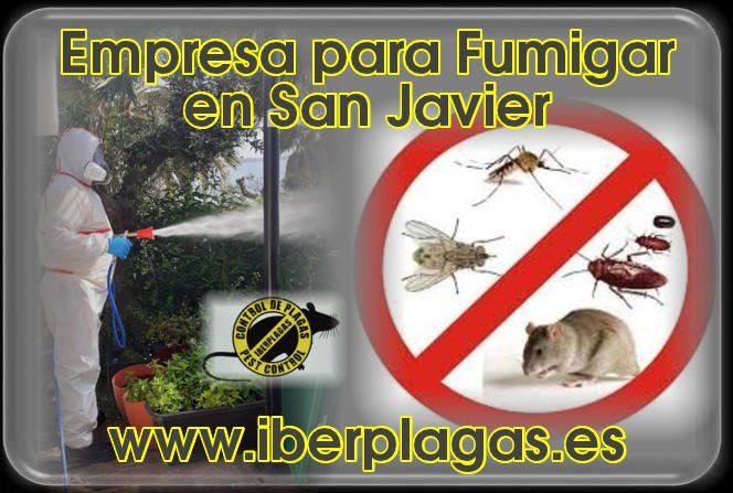 Empresa para fumigar en San Javier