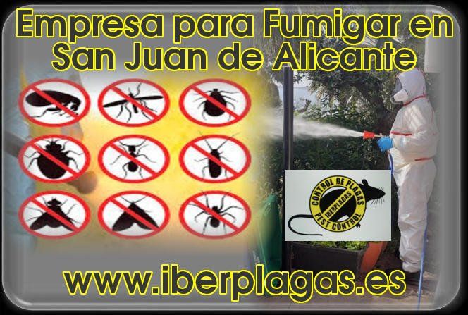 Empresa para fumigar en San Juan de Alicante