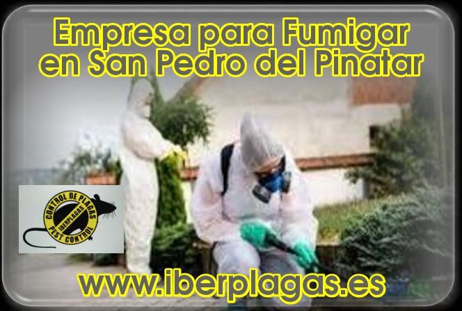 Fumigar en San Pedro del Pinatar