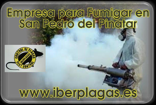 Empresa para fumigar en San Pedro del Pinatar