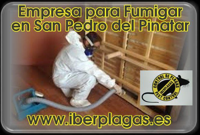 Empresa para fumigar en San Pedro del Pinatar