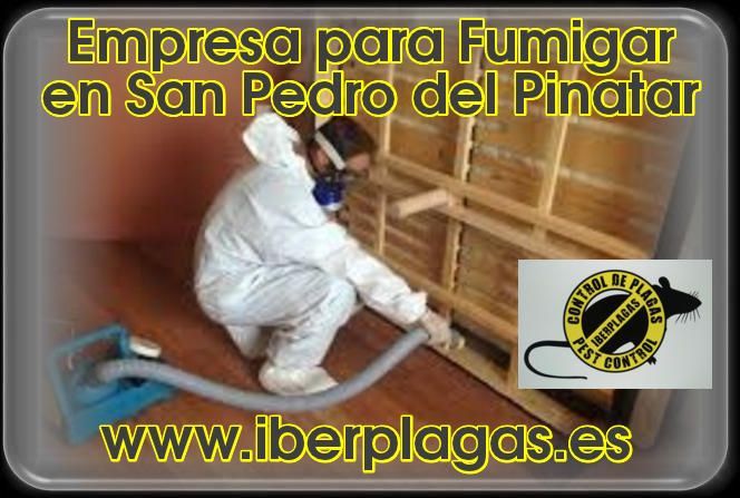 Empresa para fumigar en San Pedro del Pinatar