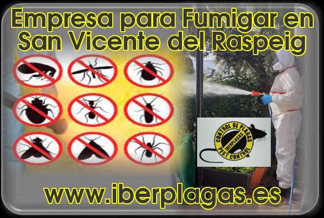 Empresa para fumigar en San Vicente del Raspeig