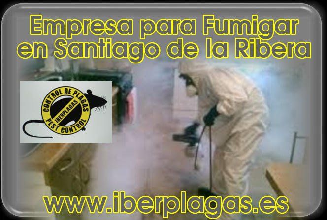 Empresa para fumigar en Santiago de la Ribera