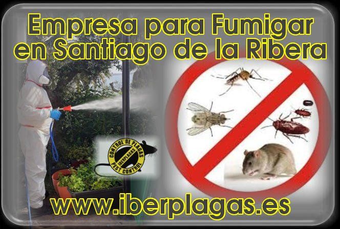 Empresa para fumigar en Santiago de la Ribera