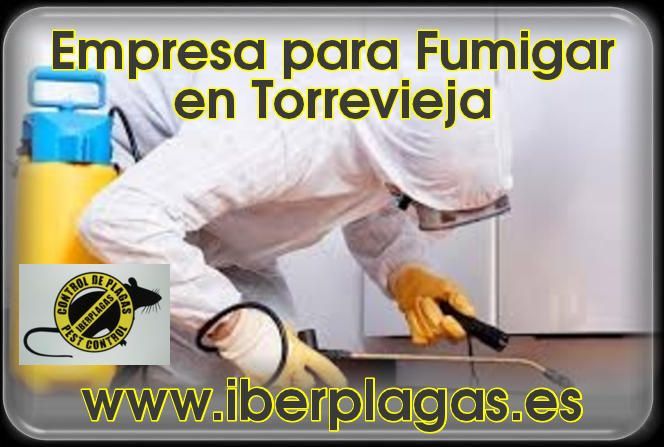 Empresa para fumigar en Torrevieja