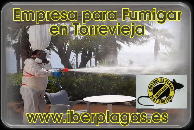 empresa para fumigar en Torrevieja