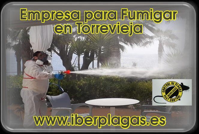 Empresa para fumigar en Torrevieja