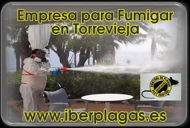 Empresa para Fumigar en Torrevieja
