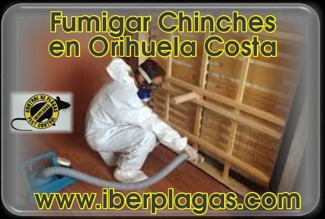 Eliminar chinches en Orihuela Costa