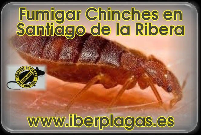 Fumigar chinches en Santiago de la Ribera