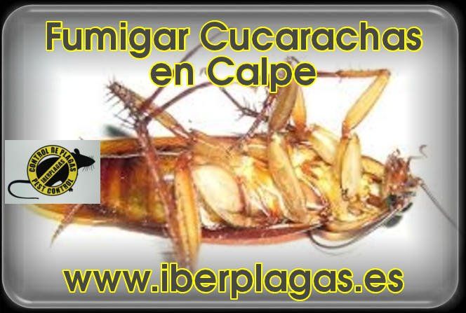 Fumigar Cucarachas en Altea