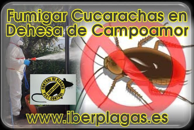 Eliminar cucarachas en Dehesa de Campoamor