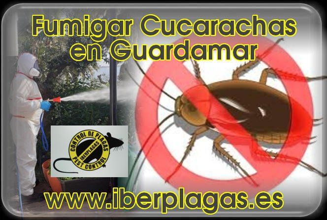 Fumigar cucarachas en Guardamar