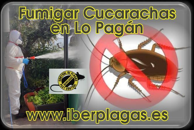 Eliminar cucarachas en Lo Pagan