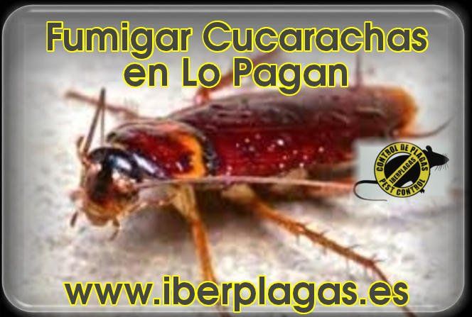 Fumigar cucarachar en Lo Pagan
