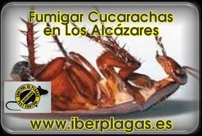 Fumigar cucarachas en Los Alcázares