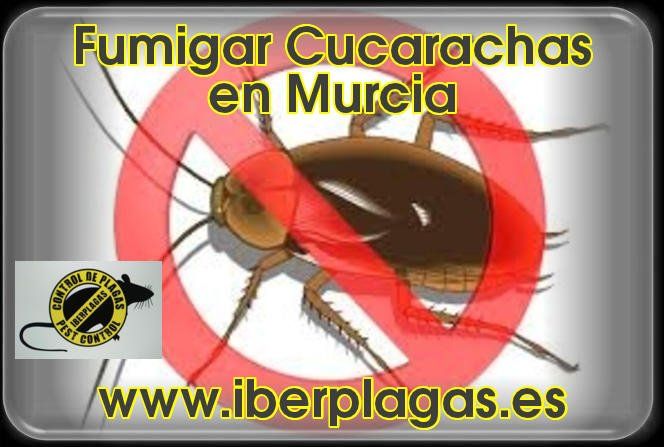 Fumigar Cucarachas en Murcia