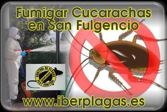 Fumigar cucarachas en San Fulgencio