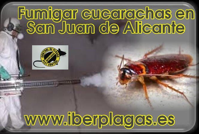 Fumigar cucarachas en San Juan de Alicante