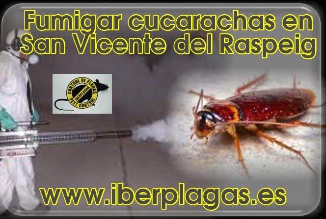 Fumigar cucarachas en San Vicente del Raspeig