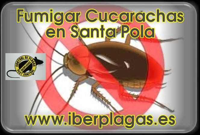 Fumigar Cucarachas en Santa Pola
