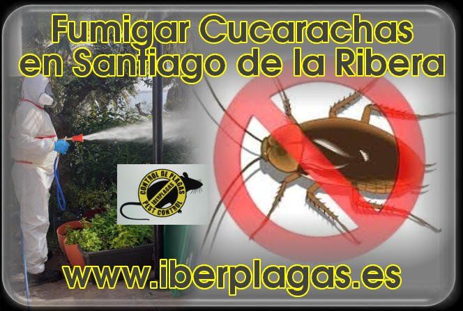 Fumigar cucarachas en Santiago de la Ribera
