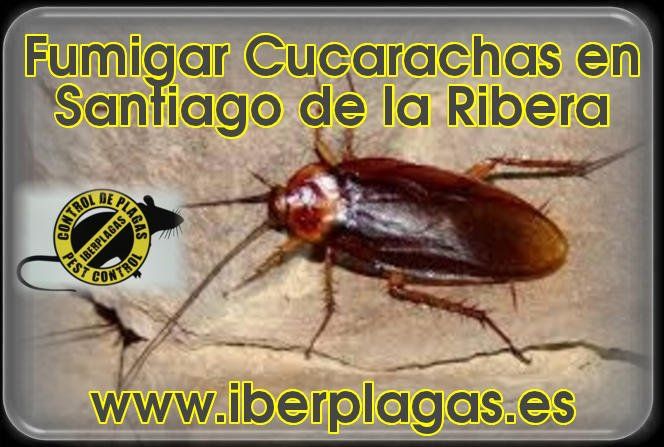 Fumigar cucarachas en Santiago de la Ribera