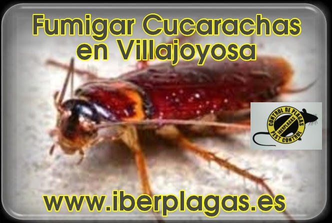 Fumigar Cucarachas en Villajoyosa