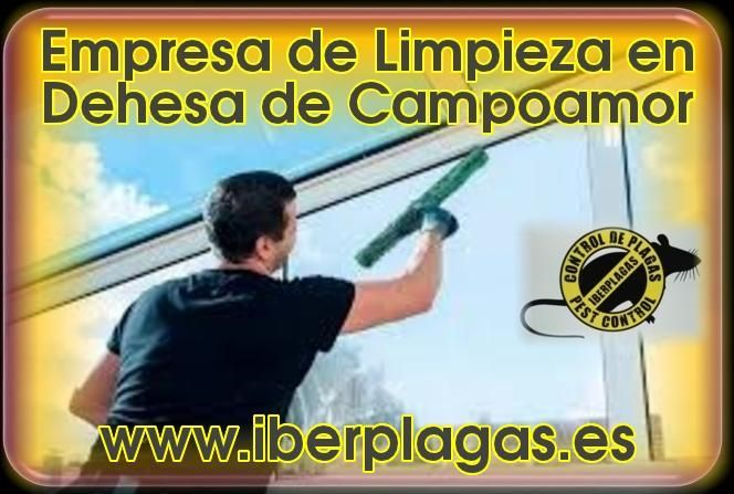 Empresa de limpieza en Dehesa de Campoamor