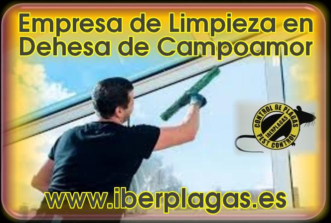 Limpiezas en Dehesa de Campoamor