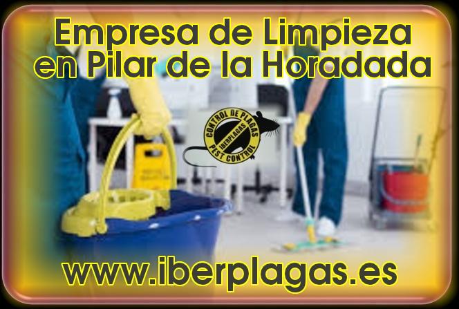 Empresa de limpieza en PIlar de la Horadada