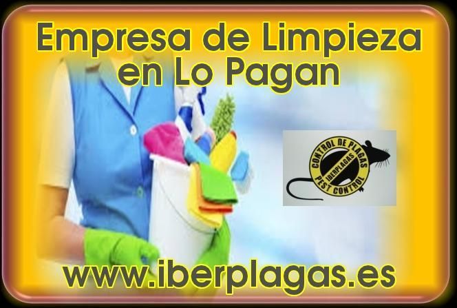 Empresa de Limpieza en Lo Pagan