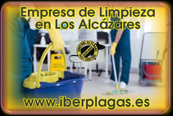 Limpiezas en Los Alcázares