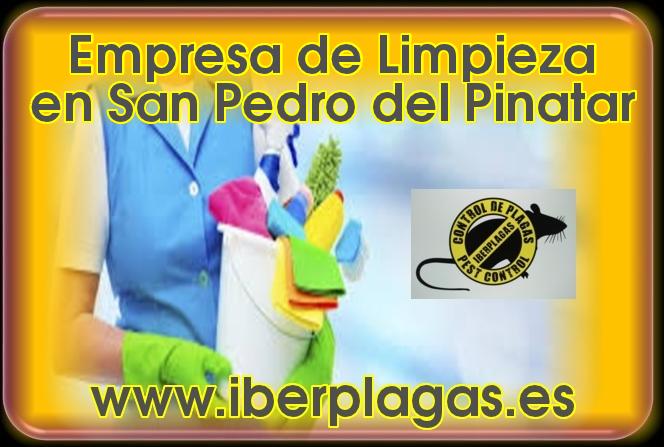 Empresa de Limpieza en San Pedro del Pinatar