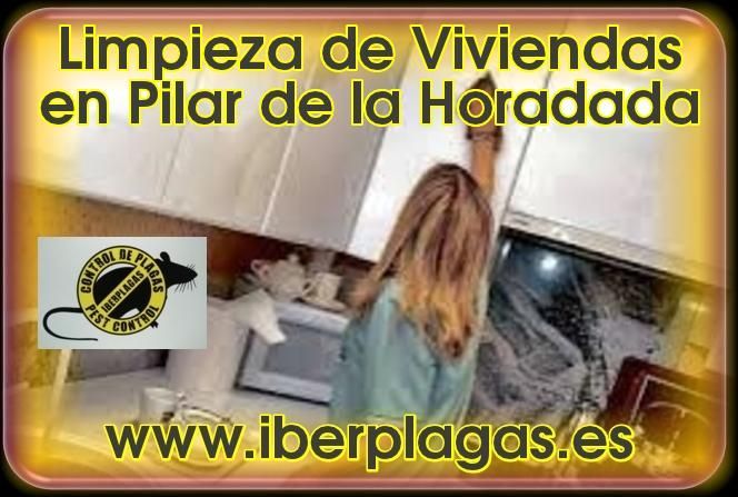 Limpieza de viviendas en Pilar de la Horadada