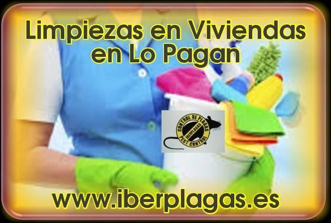 Limpieza de viviendas en Lo Pagan