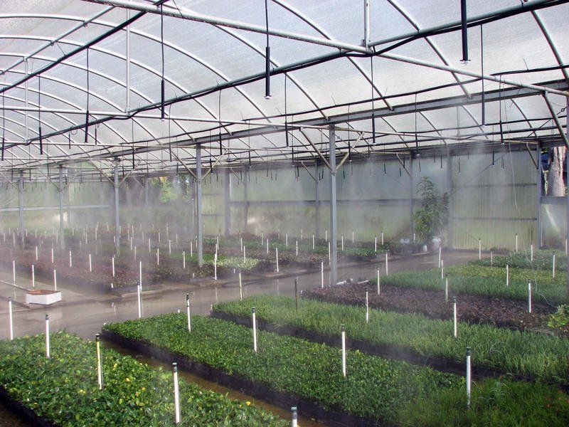 Agricultural Services