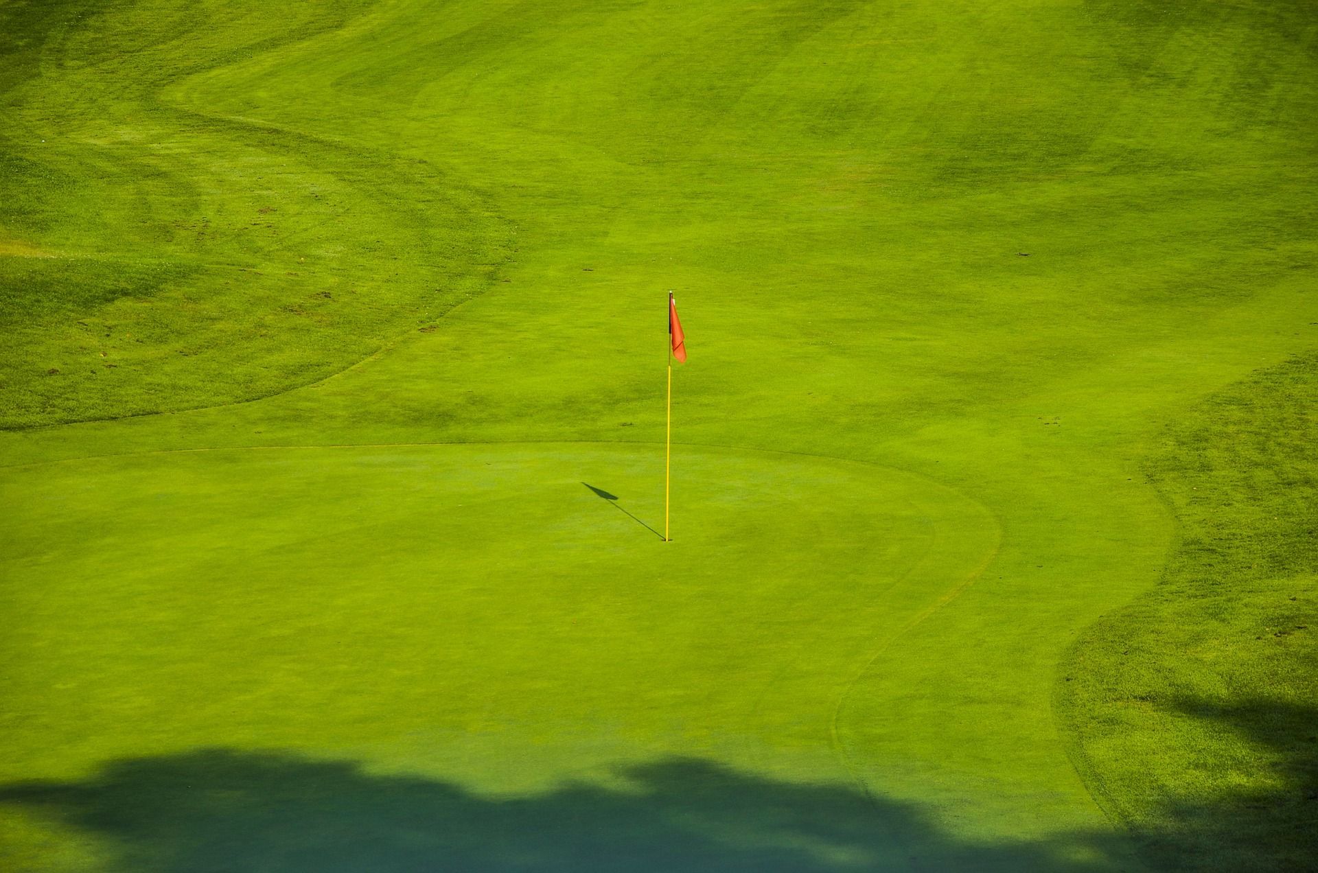 Golf Services