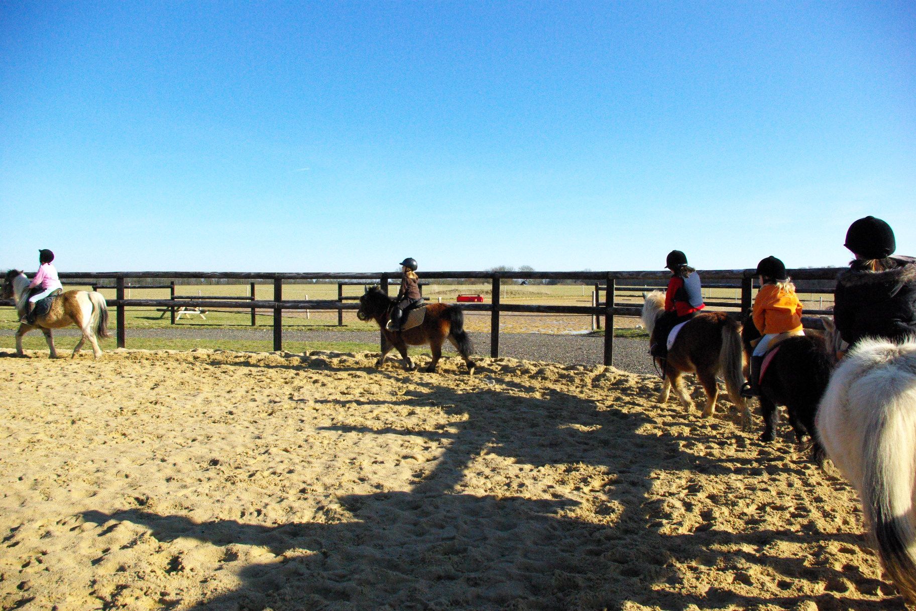 photo-poney-club