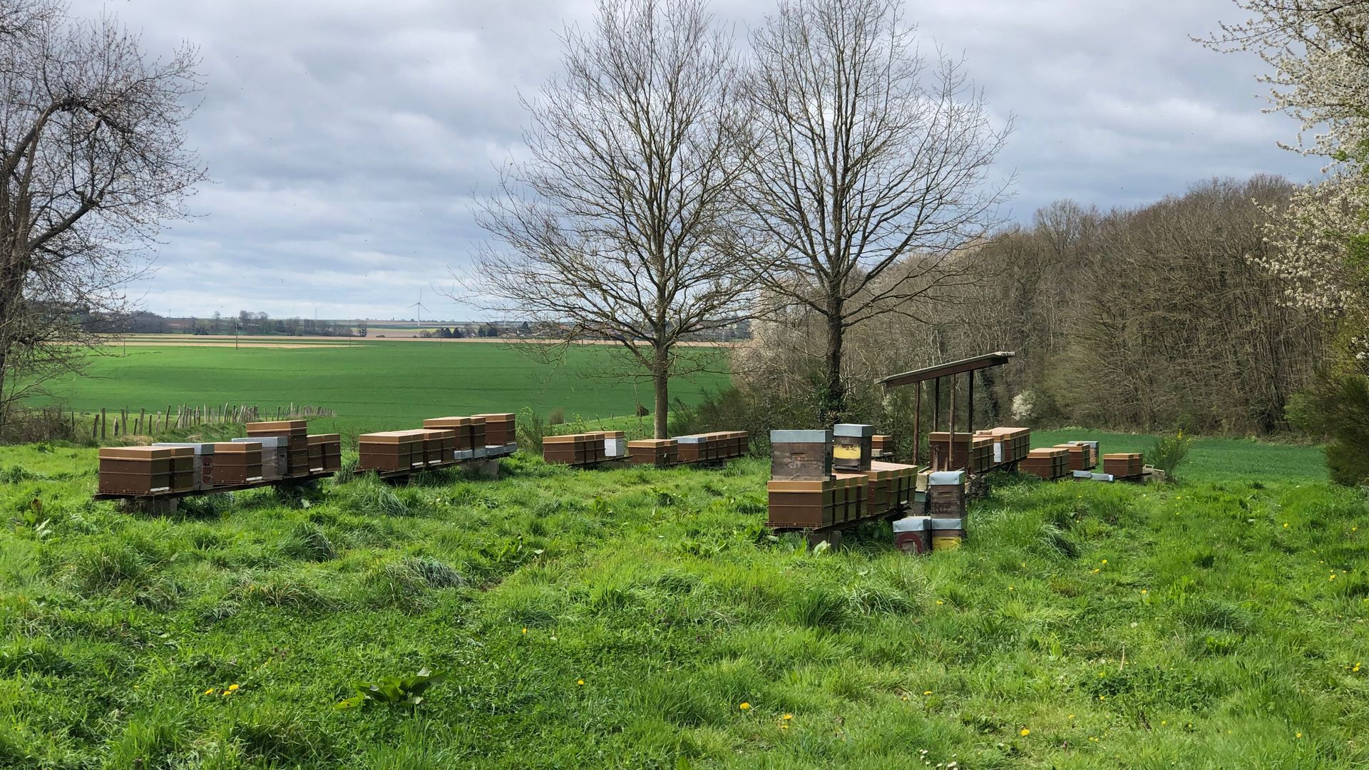 Photo-Rucher-de-Cantier