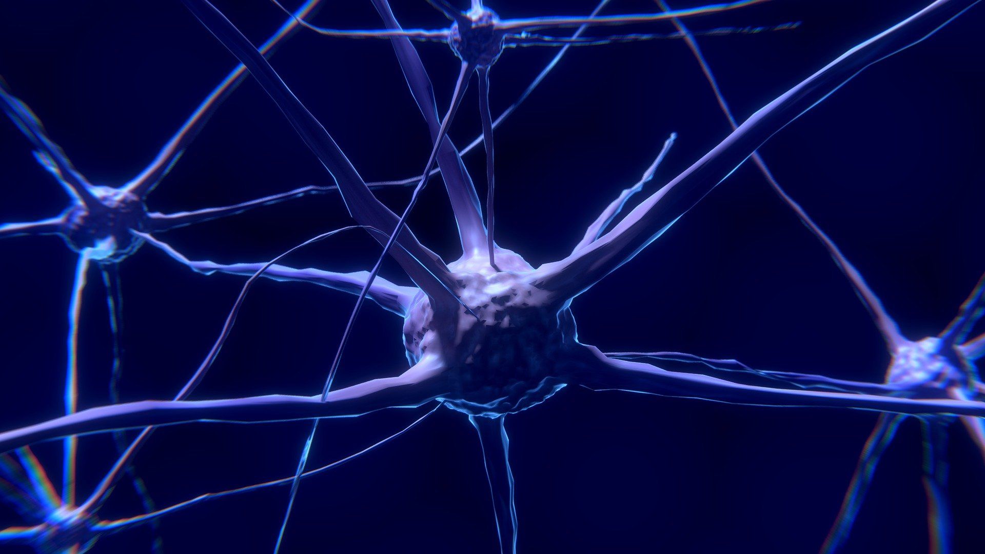 Neurosciences et management par la motivation