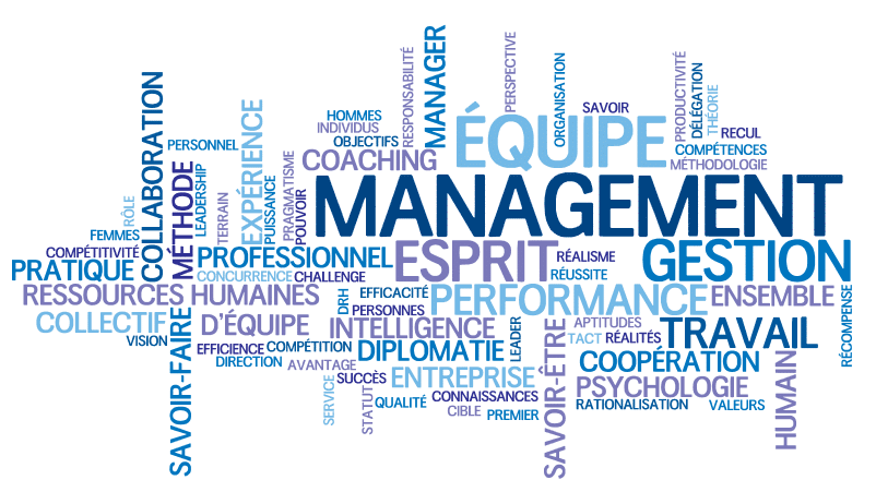 Management par la motivation Management par la motivation Diane PICARD