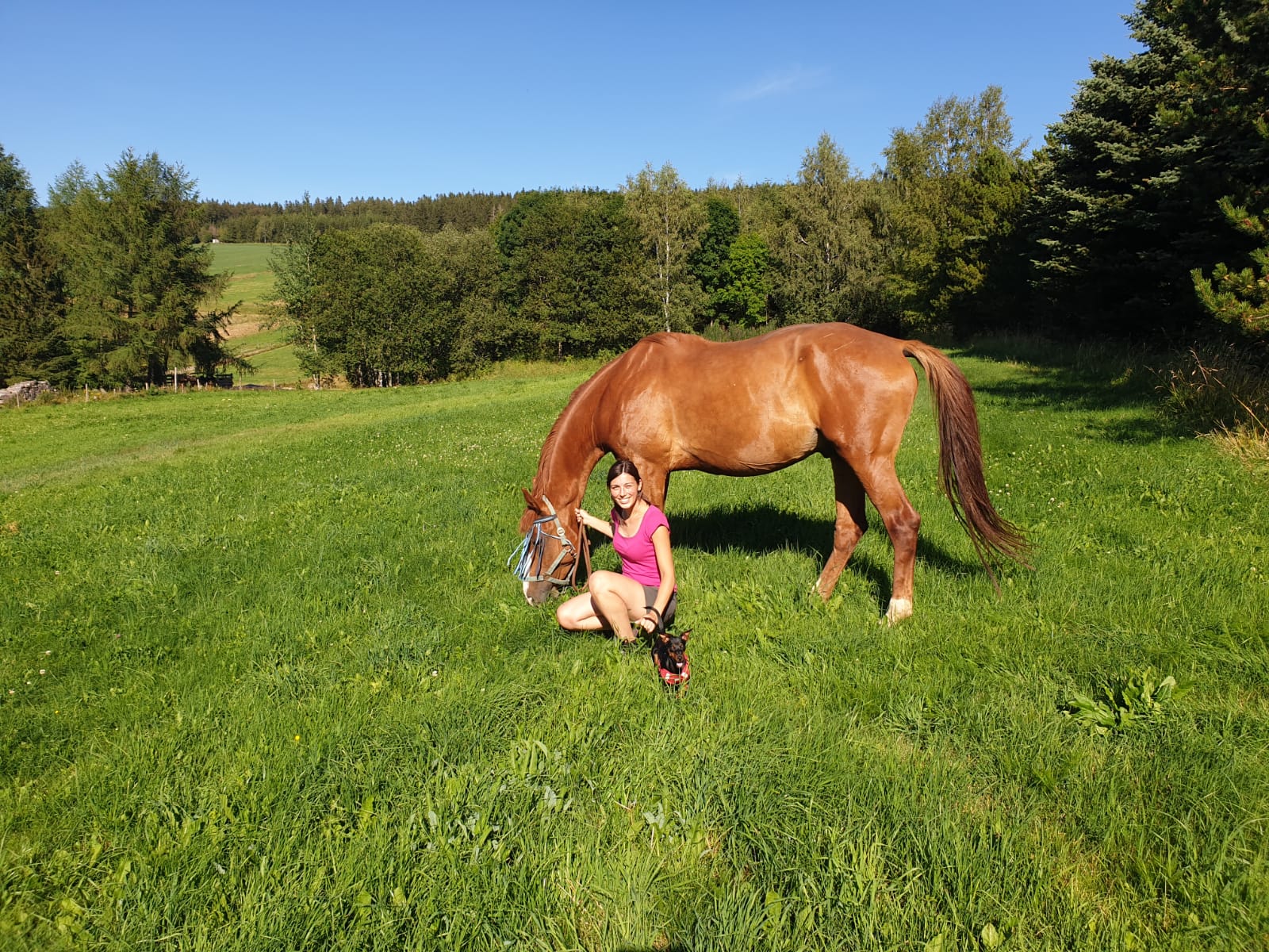 mini-pes-a-maxi-kun-seznameni