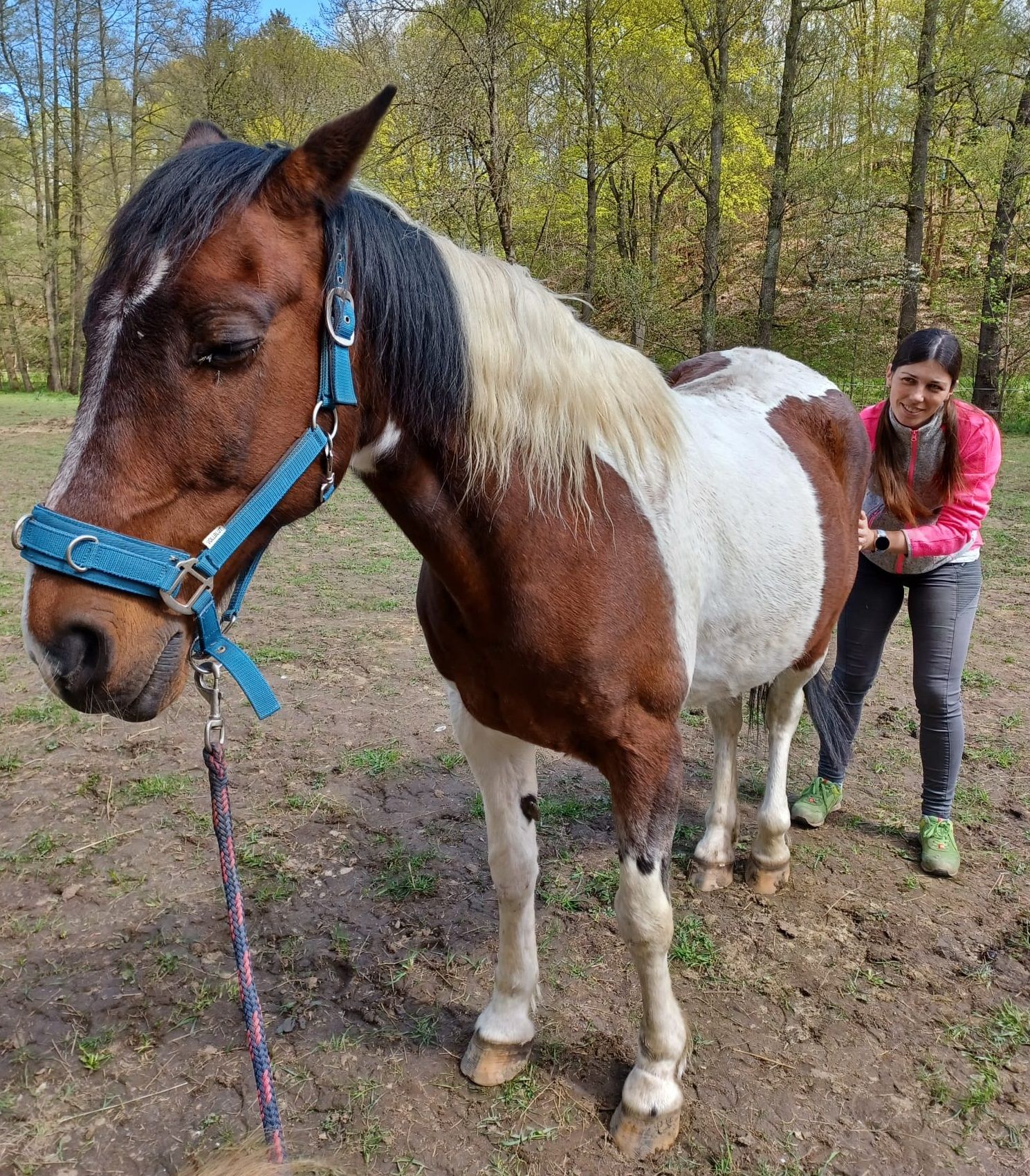 myofascialni-terapie-pro-kone-fantasy-horse