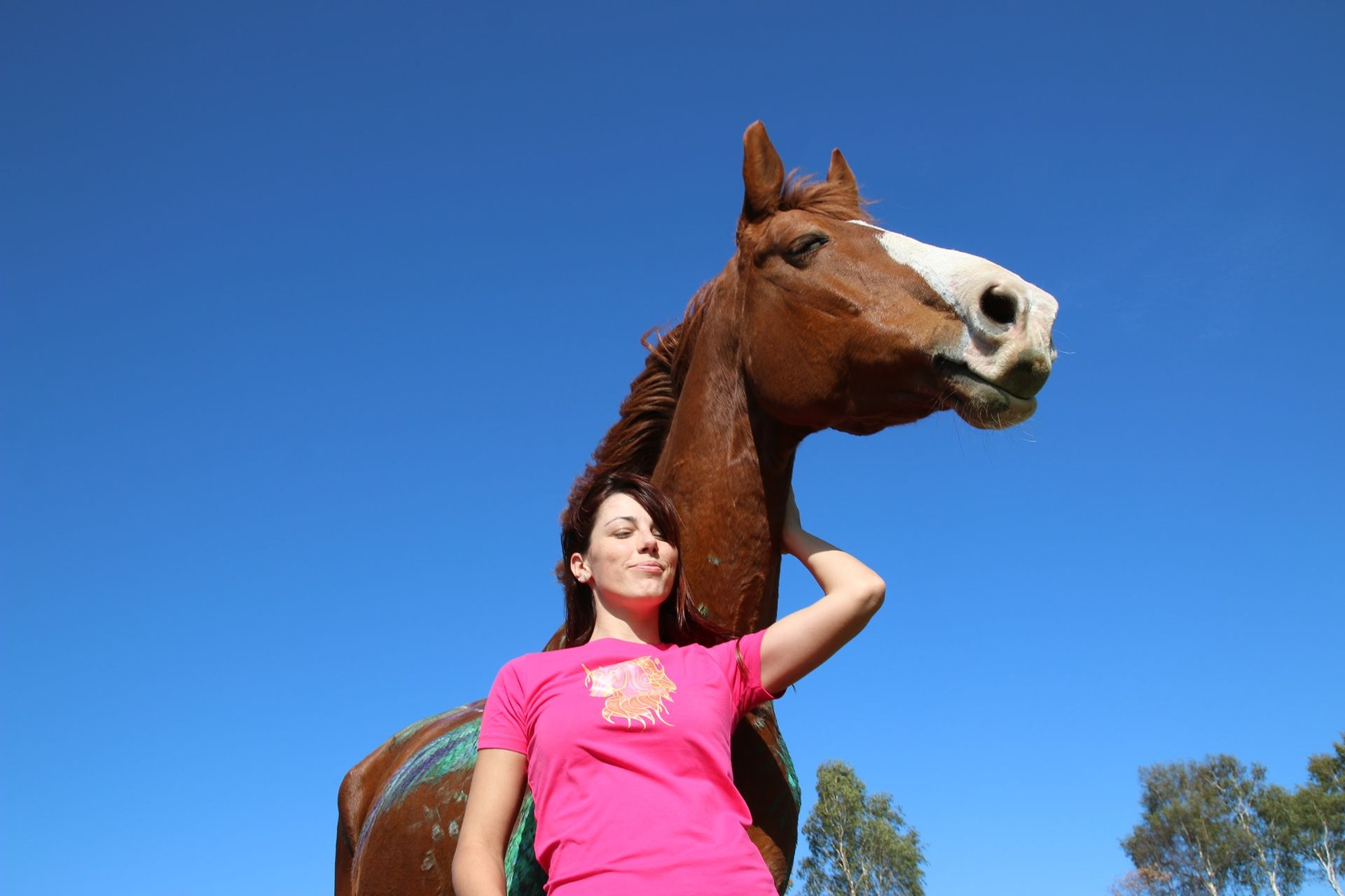 holisticka-terapie-fantasy-horse-milena-hrabak