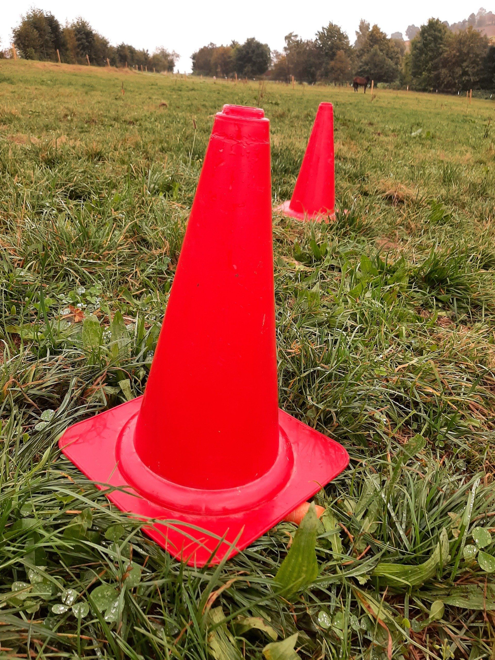 Kužely s mrkví - hra pro koně kuzely-s-mrkvi-hra-pro-kone-blog-pro-konare-fantasy-horse