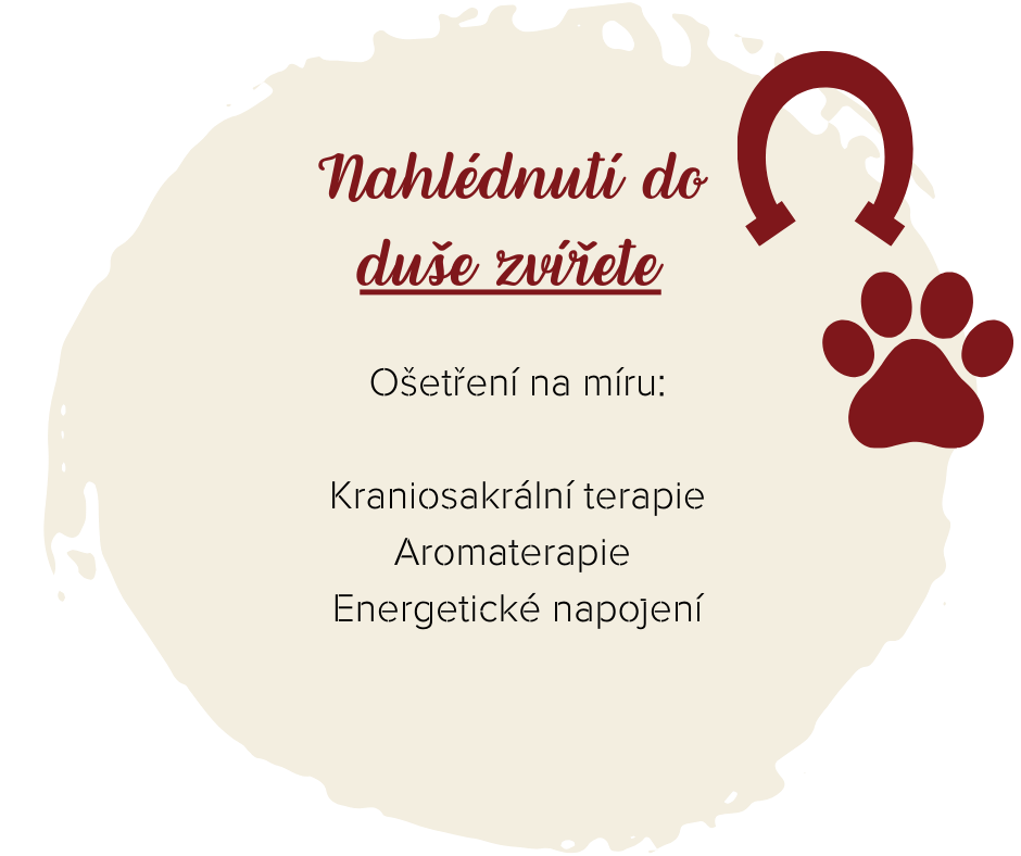 fantasy-horse-milena-hrabak-holisticka-terapie-zvirat-energeticke-napojeni-duse-zvirete-kraniosakralni-terapie