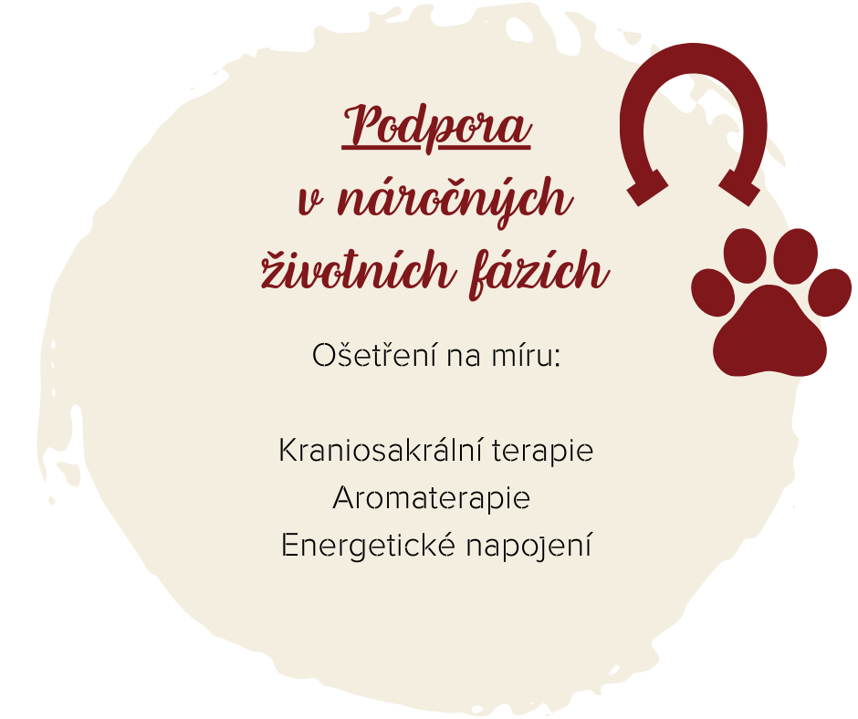 fantasy-horse-milena-hrabak-holisticka-terapie-zvirat-geriatricka-pece-kraniosakralni-terapie